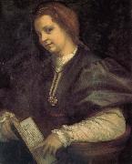 Andrea del Sarto Take the book portrait of woman oil on canvas